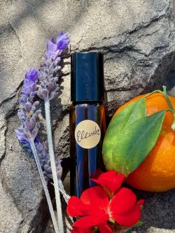 Elevate Blend Roll-on Aroma Essential Oils Uplifting