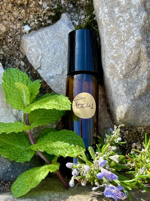 Focus Blend Aroma Therapy Essential Oils Concentration Task Work Learning Brain